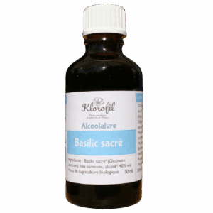 Alcoolature, teinture-mère, Basilic sacrée, Tulsi