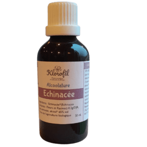 Alcoolature, teinture-mère, macération hydro-alcoolique, Echinacée pourpre