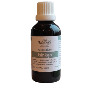 Alcoolature, teinture-mère, macération hydro-alcoolique, Ginkgo
